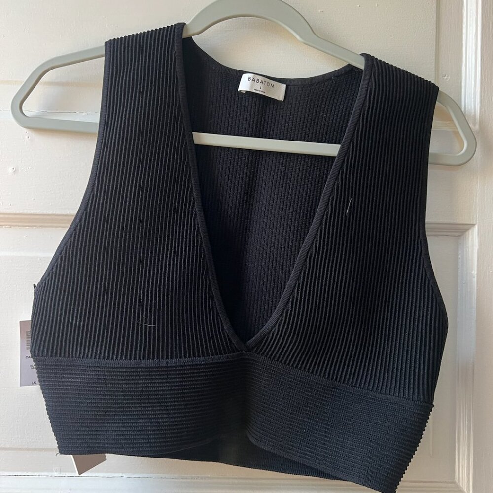 Aritzia Babaton Ribbed V-Neck